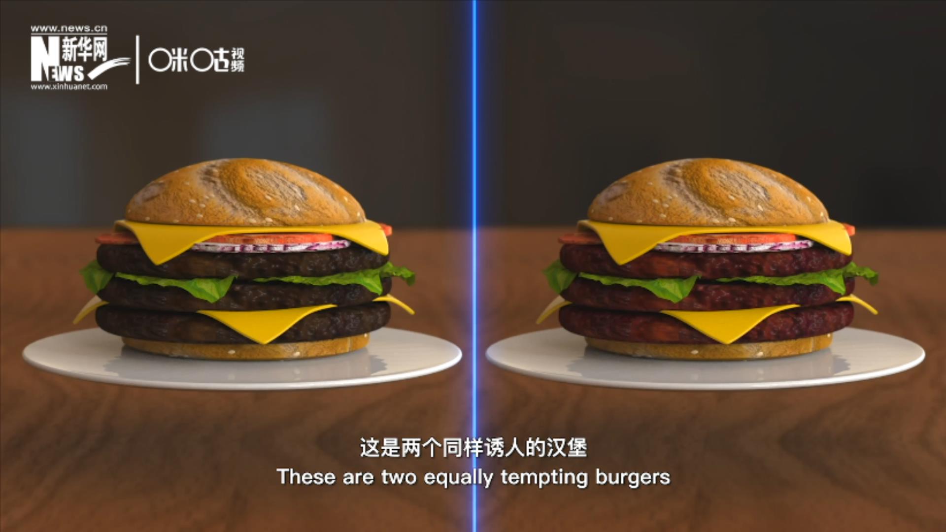 人造肉漢堡能在生產(chǎn)過程中節(jié)約水、土地、排放以及能量