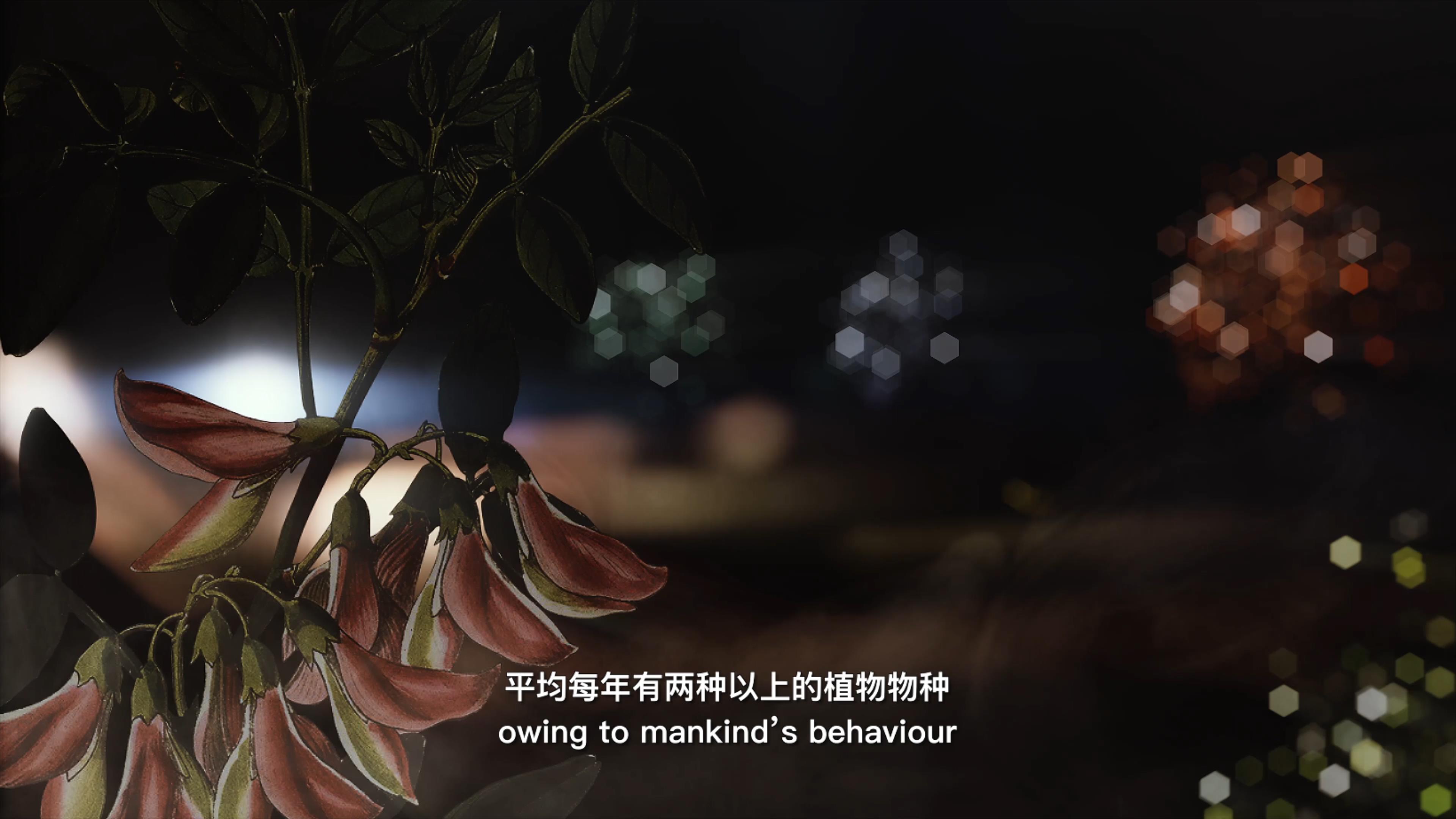 自18世紀(jì)中葉以來(lái)，許多植物物種因?yàn)槿祟惖脑蚨鴱牡厍蛏舷? />      
<div   id=