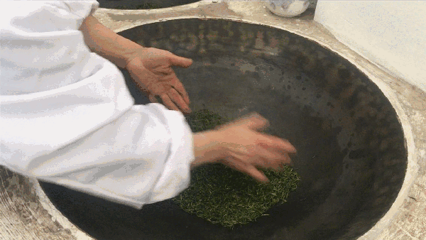 申遺，把雨花茶手藝傳承下去