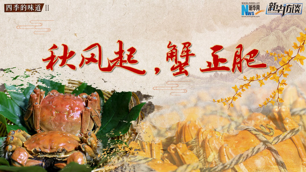 秋風(fēng)起，蟹正肥