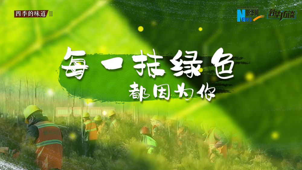 千年秀林，每一抹綠色都因?yàn)槟? /></p>
<p class=