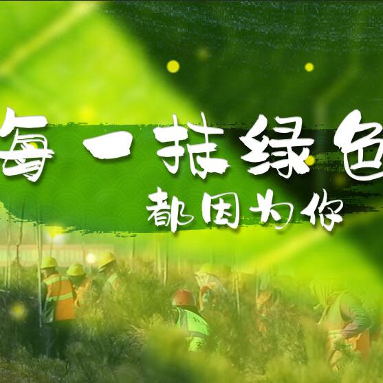 千年秀林，每一抹綠色都因?yàn)槟? /></a>       
<div   id=