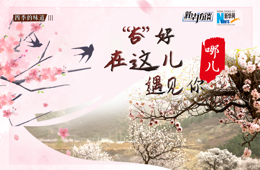 哪兒？&ldquo;杏&rdquo;好在這兒遇見你！