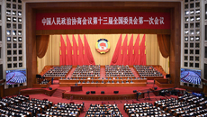 全國政協(xié)十三屆一次會(huì)議第二次全體會(huì)議