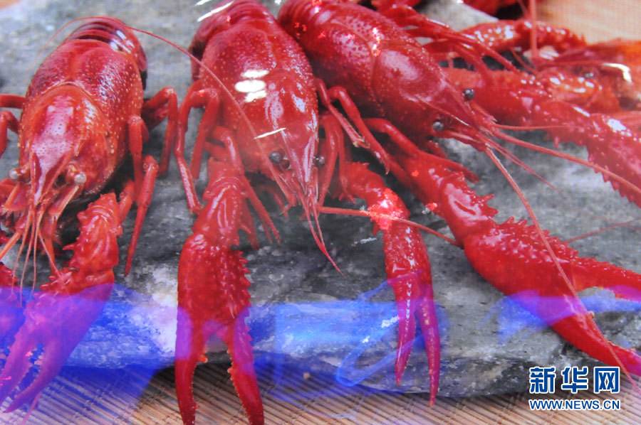 螺螄殼里做道場，小龍蝦吃出大產(chǎn)業(yè)