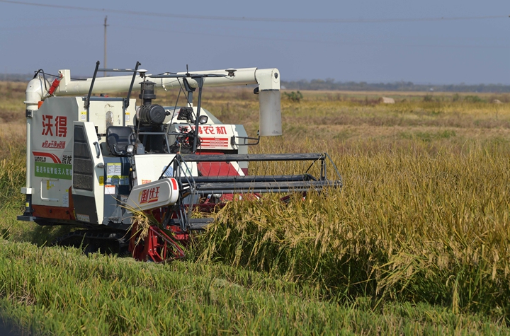 新華社評(píng)論員:穩(wěn)固耕地基本盤，打好種業(yè)翻身仗