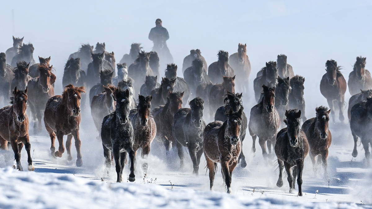 新疆&ldquo;天馬之鄉(xiāng)&rdquo;：旅游產(chǎn)業(yè)&ldquo;策馬奔騰&rdquo;
