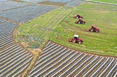 忙碌的新農(nóng)人&mdash;&mdash;祖國各地春耕掃描