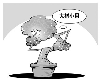 自認&ldquo;大材小用&rdquo;，不如腳踏實地