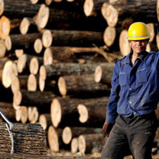 林業(yè)&ldquo;國字號&rdquo;改革