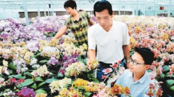 臺(tái)商眼中的改革開(kāi)放：風(fēng)景這邊獨(dú)好 要去，要去，要去！