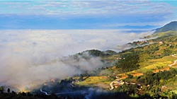 臺(tái)胞臺(tái)商熱議陜西惠臺(tái)&ldquo;60條&rdquo;：期盼落實(shí)、共享機(jī)遇