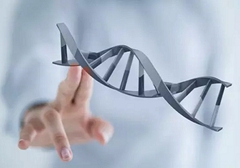 小細胞肺癌需要做基因檢測嗎？