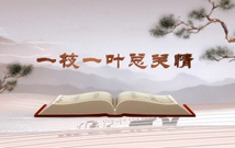 《平&ldquo;語&rdquo;近人&mdash;&mdash;習(xí)近平總書記用典》（第一集）一枝一葉總關(guān)情