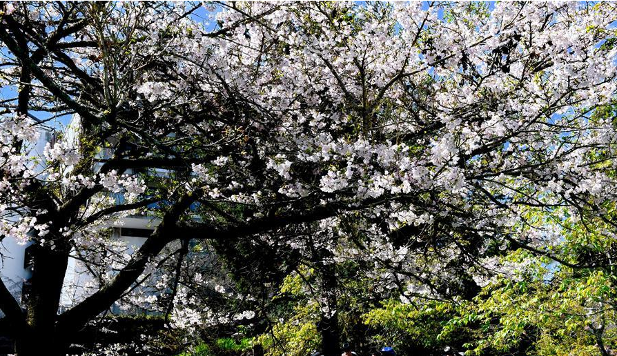 生態(tài)中國&middot;山清水秀瞰寶島