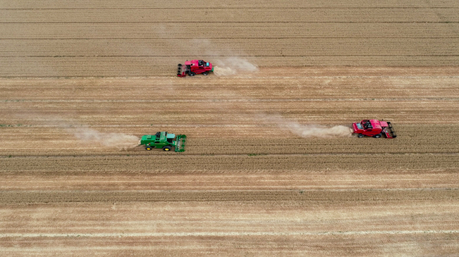【&ldquo;飛閱&rdquo;中國】黃河兩岸，麥浪翻滾遍地金