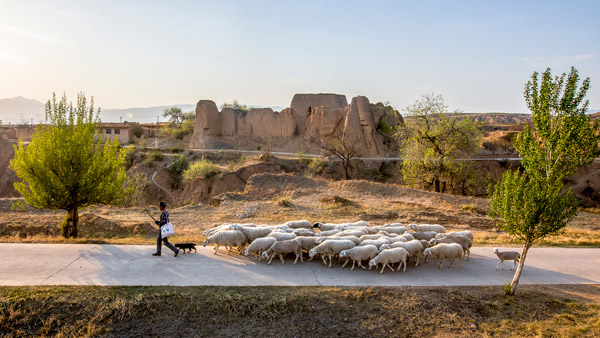 追夢足跡｜上馬圈：鐵馬冰河，黃土斑駁