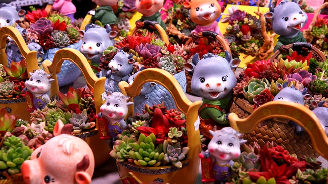 就地過(guò)年 你準(zhǔn)備好了嗎？