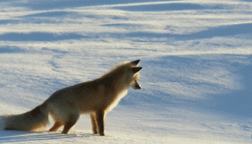 寒潮再襲 網(wǎng)友靈魂拷問：這么冷為何還不下雪？