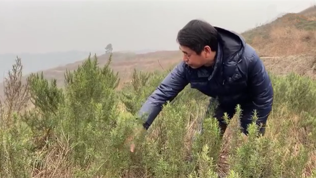 新春走基層｜脫貧后，駐村扶貧隊(duì)長在干啥？