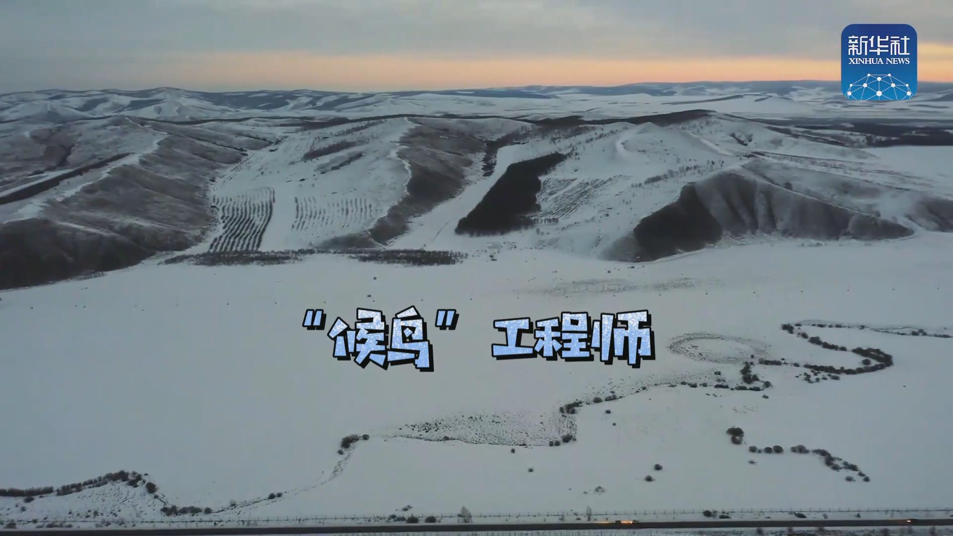 我們?cè)诒寂茇宦废虮?！他是逆行?ldquo;候鳥&rdquo;