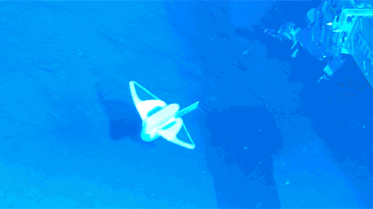 中國(guó)國(guó)產(chǎn)軟件機(jī)器魚&ldquo;打卡&rdquo;萬(wàn)米深海溝
