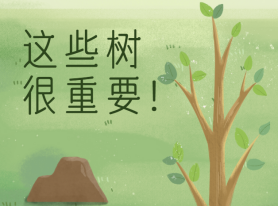 這些樹很重要！