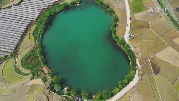 稻田新插，這里的山村美翻了！