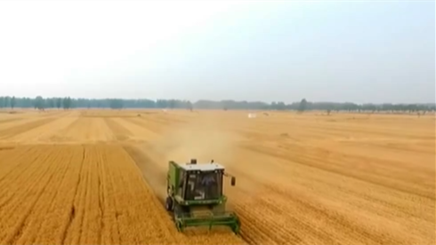 今天是第31個全國&ldquo;土地日&rdquo;：堅持最嚴(yán)格耕地保護(hù)制度 端穩(wěn)&ldquo;飯碗田&rdquo;