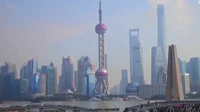 上海啟動(dòng)&ldquo;數(shù)字伙伴計(jì)劃&rdquo; 助老年人跨越數(shù)字鴻溝