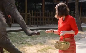 勐巴拉娜西！&ldquo;洋記者&rdquo;帶你游西雙版納