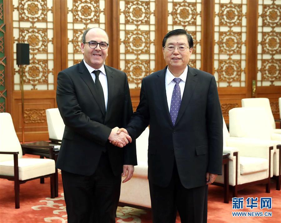 12月20日，全國人大常委會委員長張德江在北京人民大會堂會見摩洛哥參議長本希馬。新華社記者劉衛(wèi)兵攝