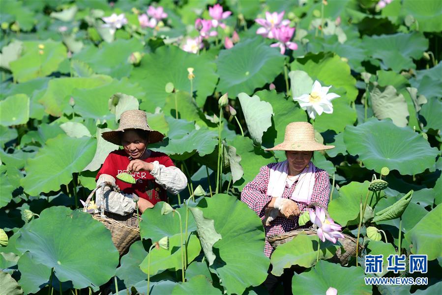 （新華全媒頭條&middot;圖文互動）（5）高溫&ldquo;烤&rdquo;驗(yàn)四大洲 熱&ldquo;火&rdquo;還要燒多久