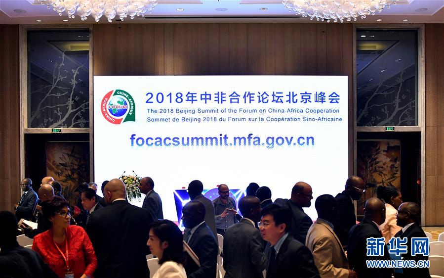 (中非合作論壇·圖文互動(dòng))(2)共筑繁榮發(fā)展的未來之橋——中非合作論壇北京峰會(huì)前瞻
