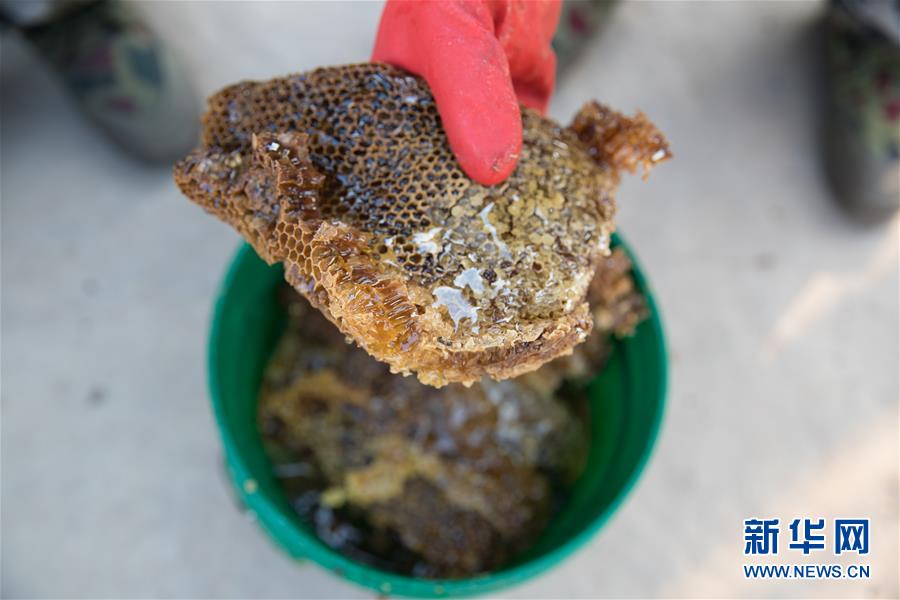 （國(guó)際&middot;聚焦進(jìn)口博覽會(huì)&middot;圖文互動(dòng)）（7）通訊：贊比亞蜂蜜企業(yè)欲借進(jìn)博會(huì)開(kāi)拓中國(guó)市場(chǎng)