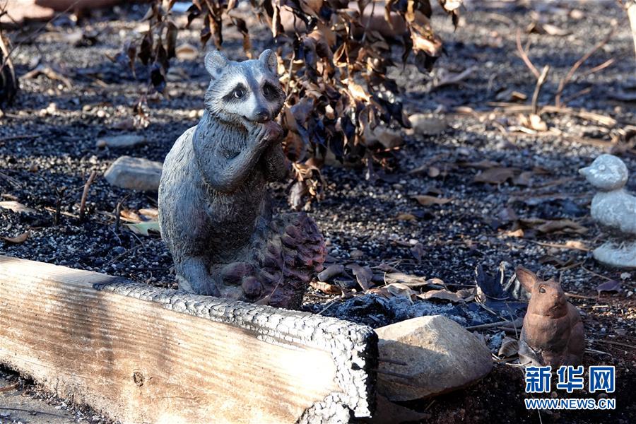 （國際&middot;圖文互動）（4）一場山火，讓這個冬天格外冷&mdash;&mdash;探訪美國加州山火災區(qū)