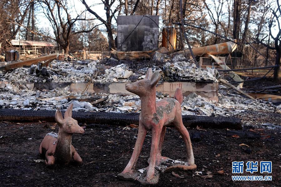 （國際&middot;圖文互動）（6）一場山火，讓這個冬天格外冷&mdash;&mdash;探訪美國加州山火災區(qū)