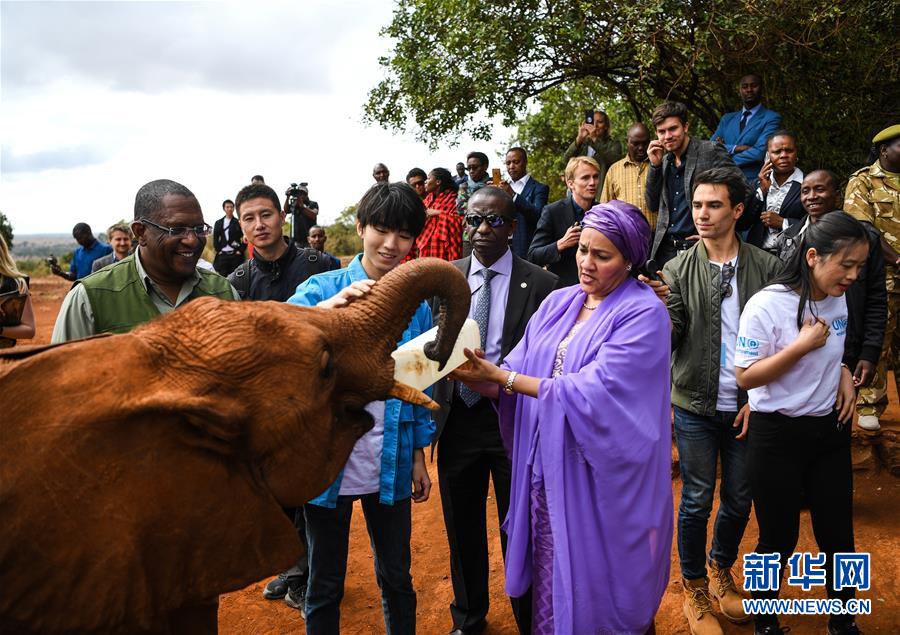 （國(guó)際&middot;圖文互動(dòng)）（1）專訪：環(huán)保要以身作則 從身邊小事做起&mdash;&mdash;訪聯(lián)合國(guó)環(huán)境署親善大使王俊凱