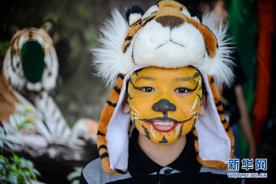 (國際)(3)馬來西亞將加強(qiáng)打擊偷獵馬來虎行為