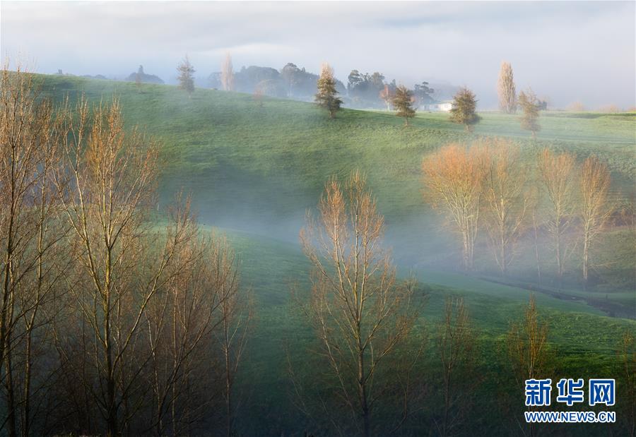 （國(guó)際&middot;一周看天下）晨霧