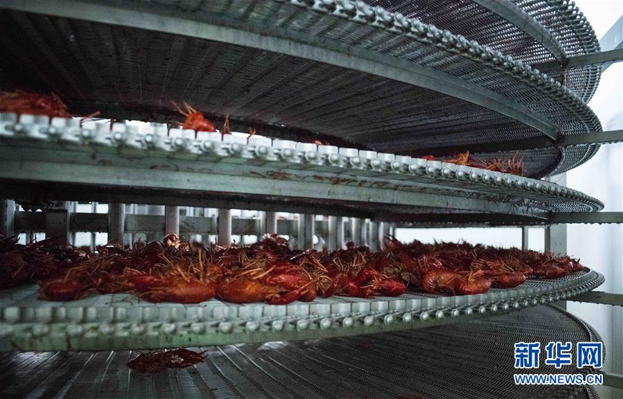 (國(guó)際·圖文互動(dòng))(12)從尼羅河畔到中國(guó)餐桌——一只“洋”小龍蝦的36小時(shí)旅程