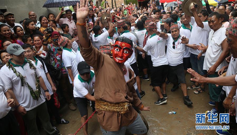 （國(guó)際）（5）尼泊爾慶祝神牛節(jié)