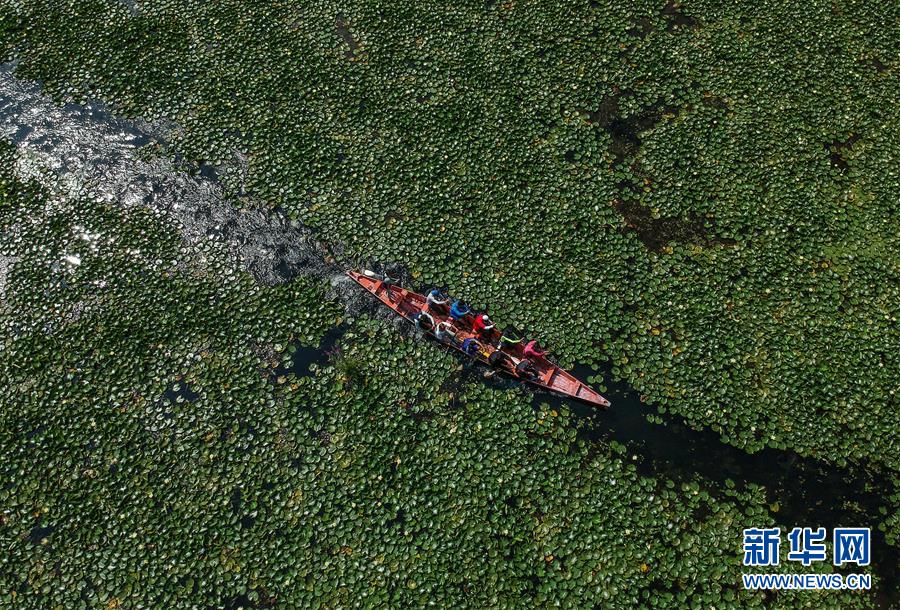 （國(guó)際&middot;年終報(bào)道）（8）2019，精&ldquo;彩&rdquo;紛呈