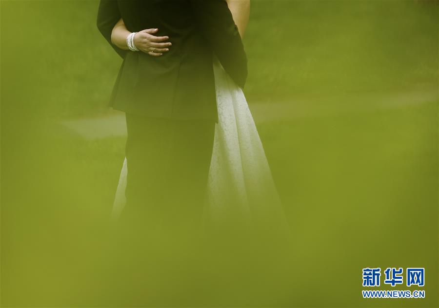 （國際&middot;年終報(bào)道）（13）2019，精&ldquo;彩&rdquo;紛呈