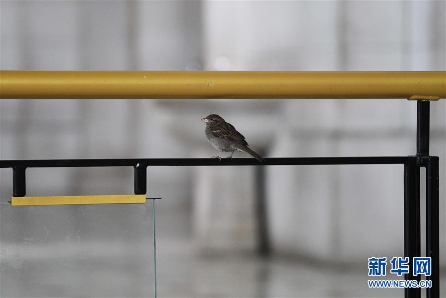 （國(guó)際疫情）（5）約翰斯&middot;霍普金斯大學(xué)：美國(guó)新冠肺炎確診病例超過(guò)14萬(wàn)例