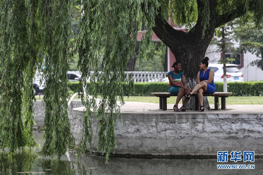 （中非團(tuán)結(jié)抗疫故事&middot;圖文互動(dòng)）（5）坦桑尼亞留學(xué)生譚麗：離家千里 生活一樣溫暖而多彩