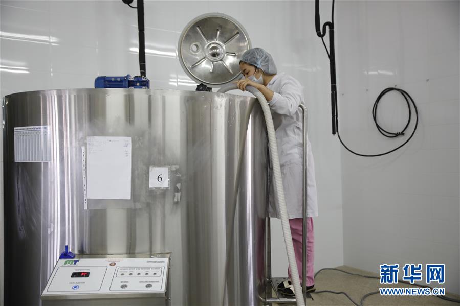 (國際·圖文互動(dòng))(4)從“先遣隊(duì)”到“正規(guī)軍”——哈薩克斯坦駱駝奶粉入華記