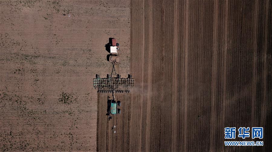 (國(guó)際)(3)世界糧食日:維護(hù)全球糧食安全 世界各國(guó)休戚與共