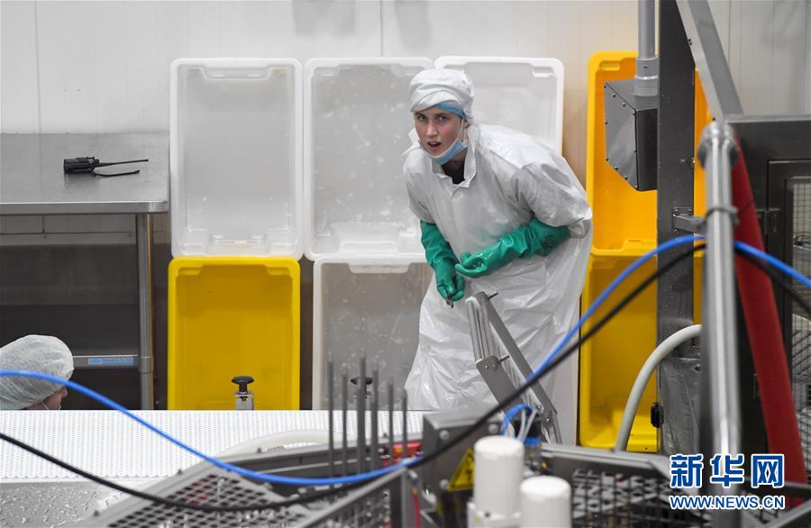 （第三屆進博會&middot;圖文互動）（2）通訊：新西蘭的進博會味道，甜