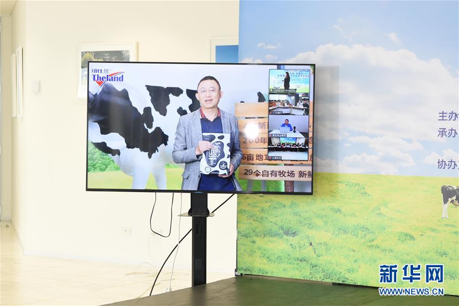 (國際·圖文互動)(2)中國-新西蘭乳制品商貿(mào)洽談會簽約金額超12億元